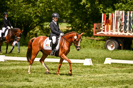  | 05062026 Dressur 2_0551 