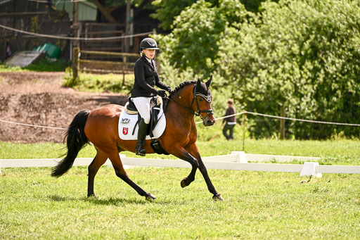  | 05062026 Dressur 2_0562 