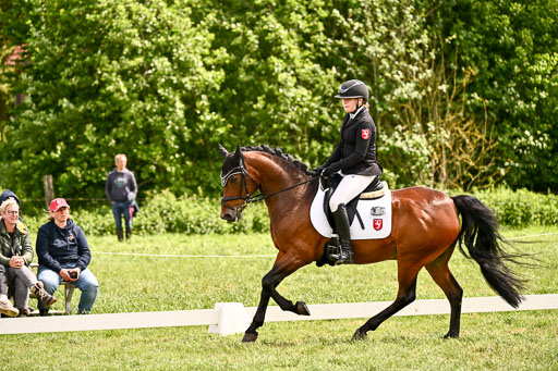  | 05062026 Dressur 2_0571 