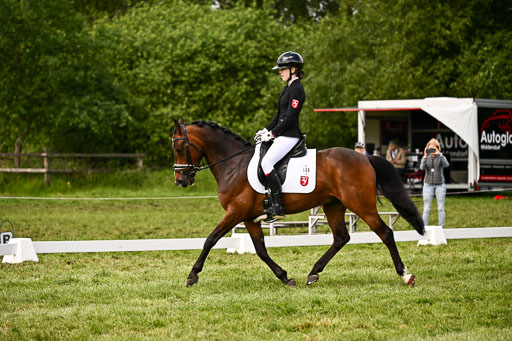  | 05062026 Dressur 2_0587 