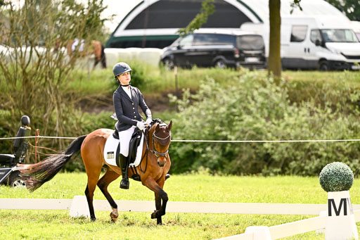  | 05062026 Dressur 2_0592 