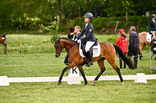  | 05062026 Dressur 2_0601 