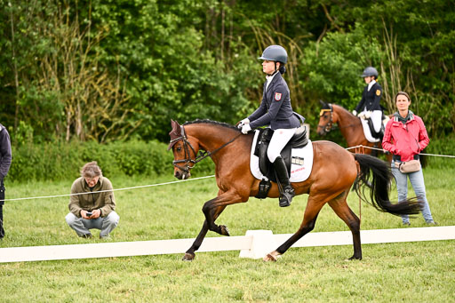  | 05062026 Dressur 2_0614 