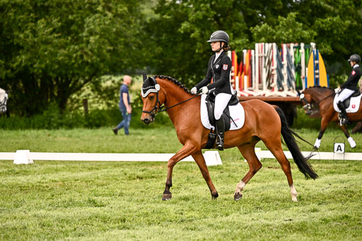  | 05062026 Dressur 2_0623 