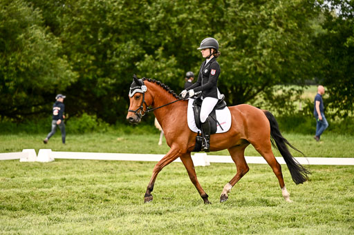  | 05062026 Dressur 2_0624 