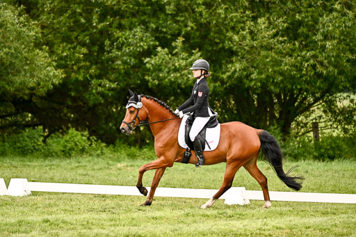  | 05062026 Dressur 2_0639 