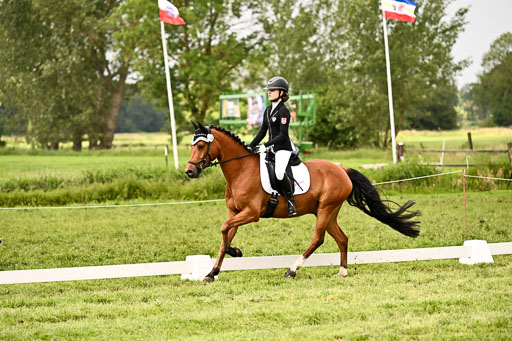  | 05062026 Dressur 2_0644 