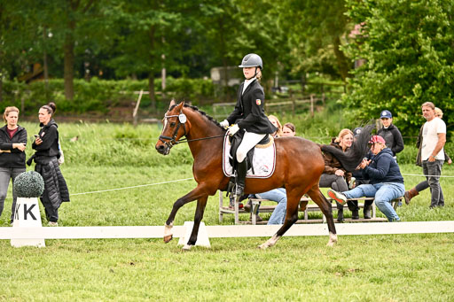  | 05062026 Dressur 2_0655 