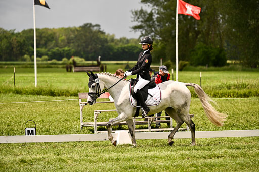  | 05062026 Dressur 2_0665 