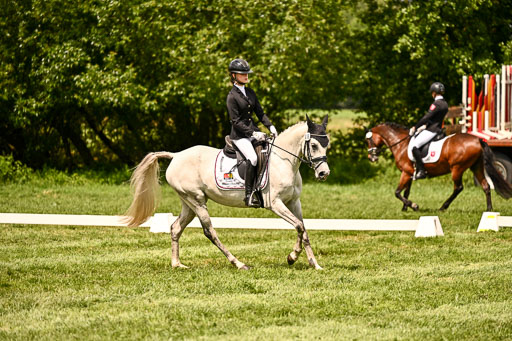  | 05062026 Dressur 2_0675 