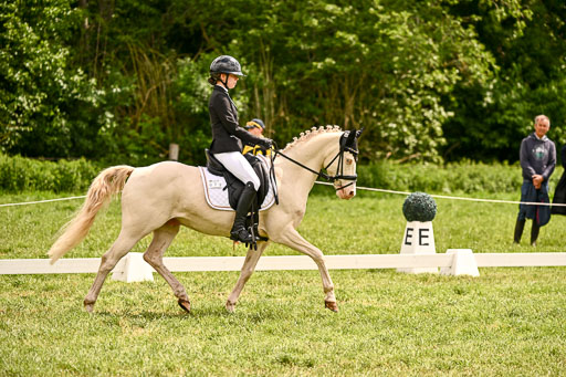  | 05062026 Dressur 2_0680 