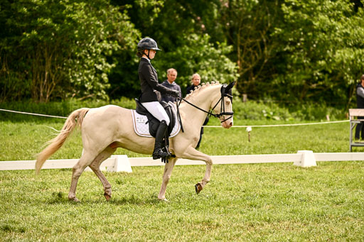  | 05062026 Dressur 2_0681 