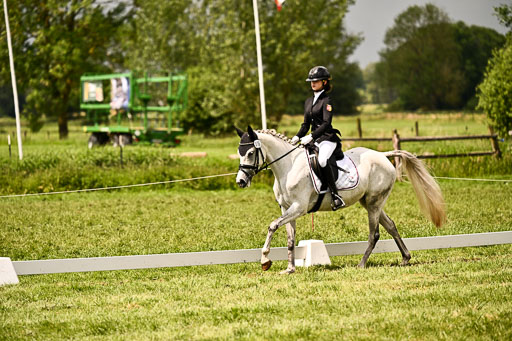  | 05062026 Dressur 2_0686 