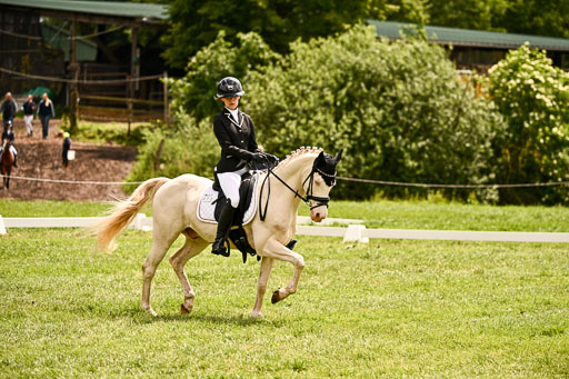  | 05062026 Dressur 2_0705 