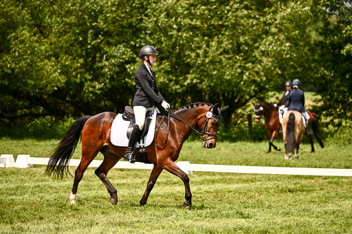  | 05062026 Dressur 2_0711 