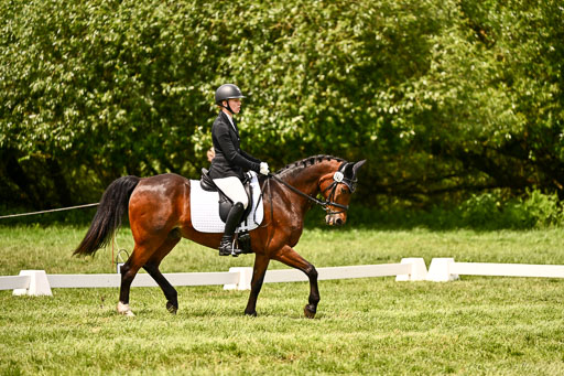  | 05062026 Dressur 2_0715 