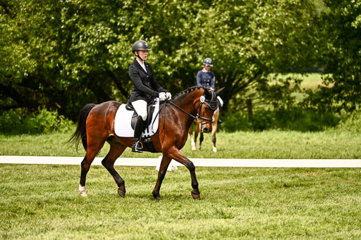  | 05062026 Dressur 2_0716 