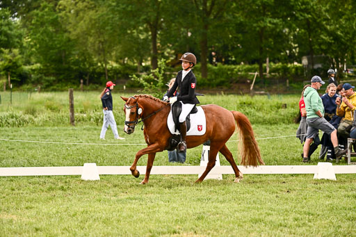  | 05062026 Dressur 2_0741 
