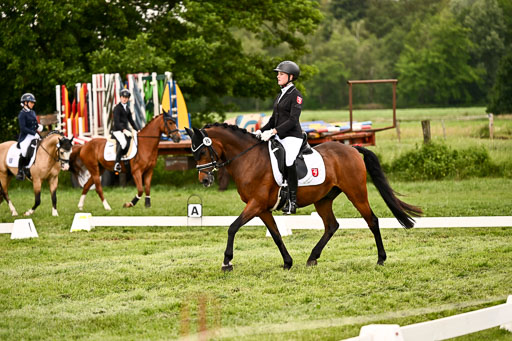  | 05062026 Dressur 2_0749 