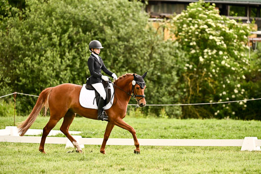  | 05062026 Dressur 2_0785 