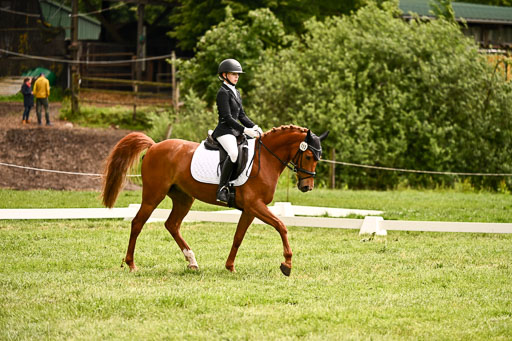  | 05062026 Dressur 2_0796 
