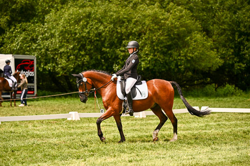  | 05062026 Dressur 2_0901 