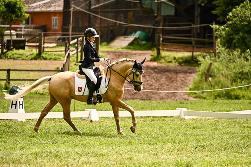  | 05062026 Dressur 2_0916 