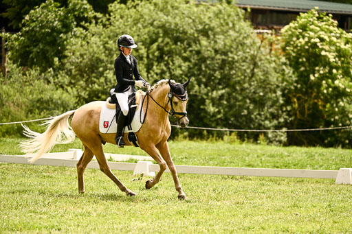  | 05062026 Dressur 2_0919 