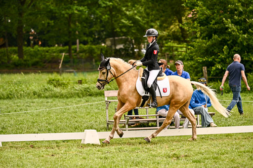  | 05062026 Dressur 2_0926 