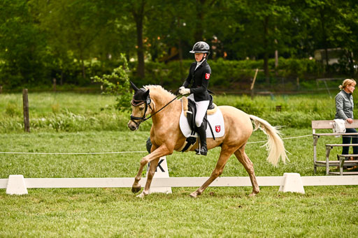  | 05062026 Dressur 2_0927 