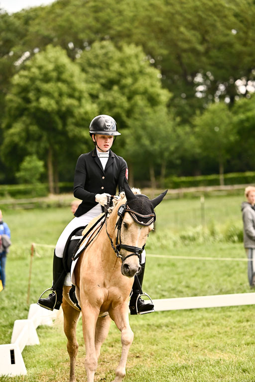  | 05062026 Dressur 2_0928 