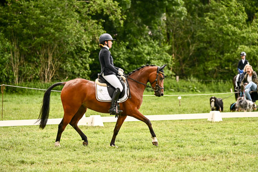  | 05062026 Dressur 2_0943 