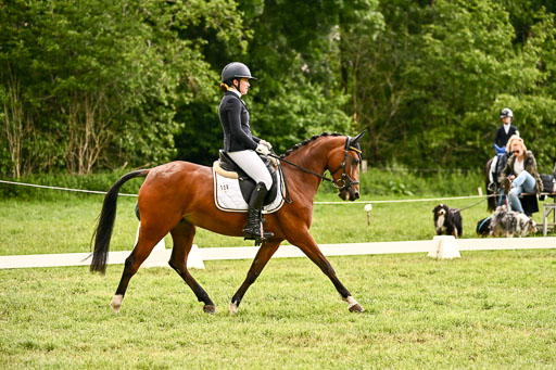  | 05062026 Dressur 2_0944 
