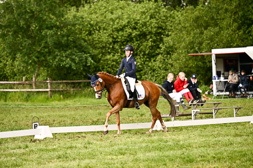  | 05062026 Dressur 2_0961 