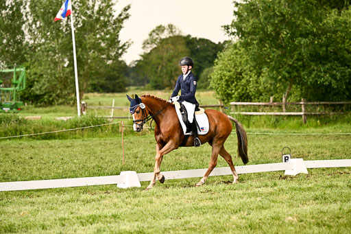  | 05062026 Dressur 2_0962 