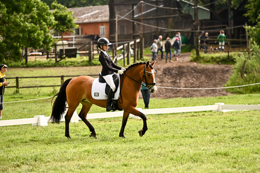  | 05062026 Dressur 2_0964 
