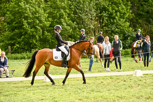  | 05062026 Dressur 2_0974 
