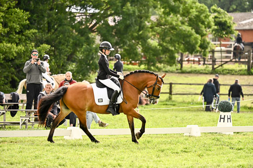  | 05062026 Dressur 2_0984 