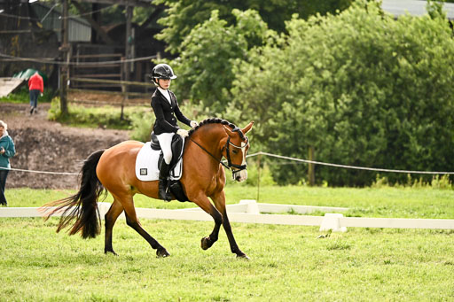  | 05062026 Dressur 2_0988 