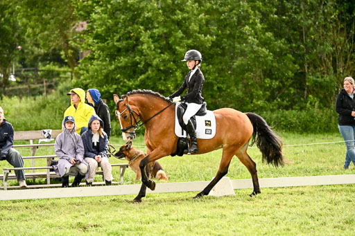  | 05062026 Dressur 2_0994 