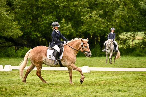  | 05062026 Dressur 2_1167 