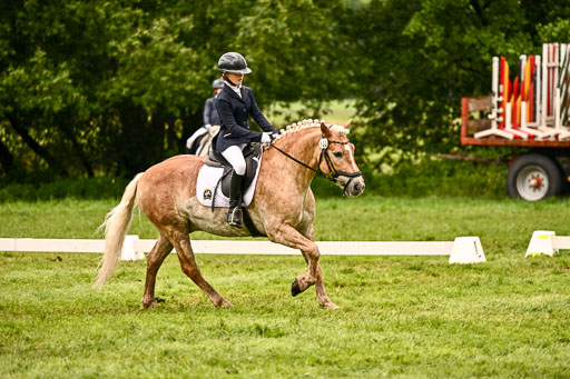  | 05062026 Dressur 2_1168 