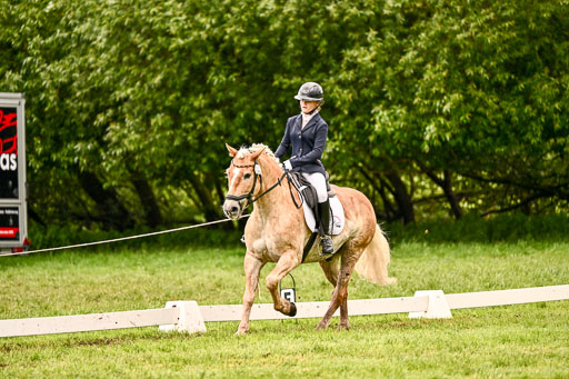  | 05062026 Dressur 2_1174 