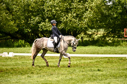  | 05062026 Dressur 2_1197 