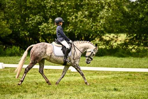  | 05062026 Dressur 2_1199 