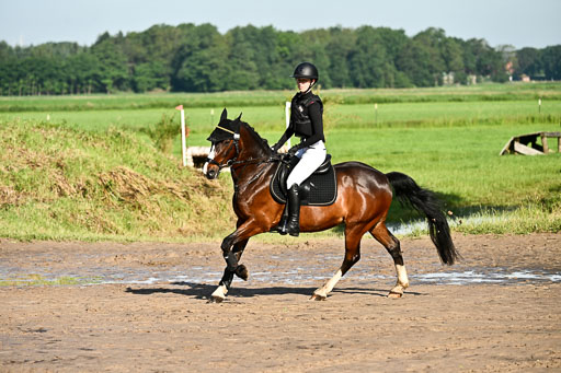 Goldene Schärpe Ponys in Löningen 2026 | 06062026 Gelände 1 Abt 