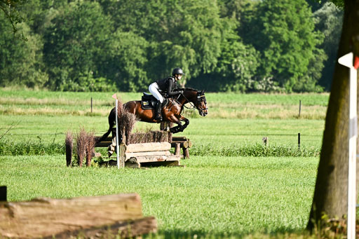 Goldene Schärpe Ponys in Löningen 2026 | 06062026 Gelände 1 Abt_0017 