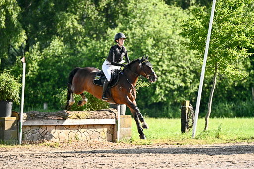 Goldene Schärpe Ponys in Löningen 2026 | 06062026 Gelände 1 Abt_0021 