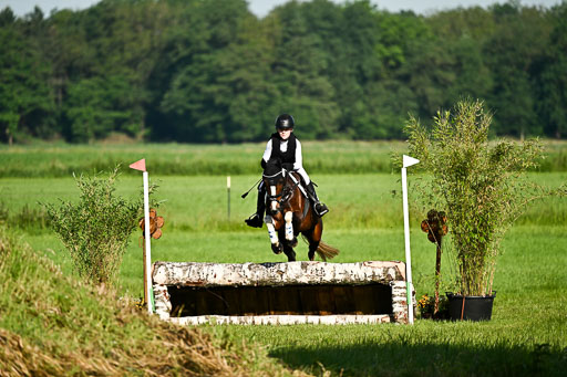 Goldene Schärpe Ponys in Löningen 2026 | 06062026 Gelände 1 Abt_0029 