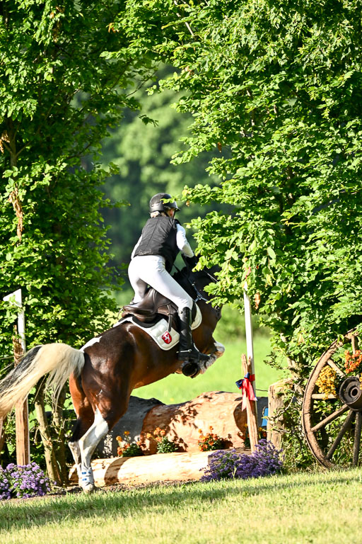 Goldene Schärpe Ponys in Löningen 2026 | 06062026 Gelände 1 Abt_0034 